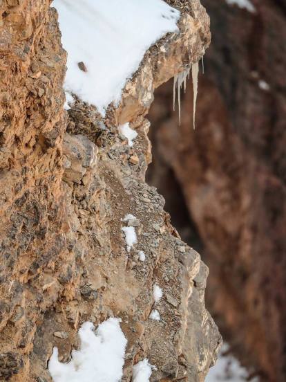 ilusiones ópticas internet leopardo en la nieve 21 de abril 2020