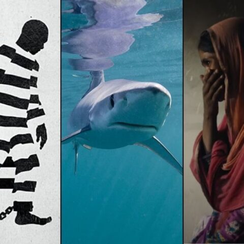 Our Planet-Explained- documentales-de-Netflix-23-de-abril-2020