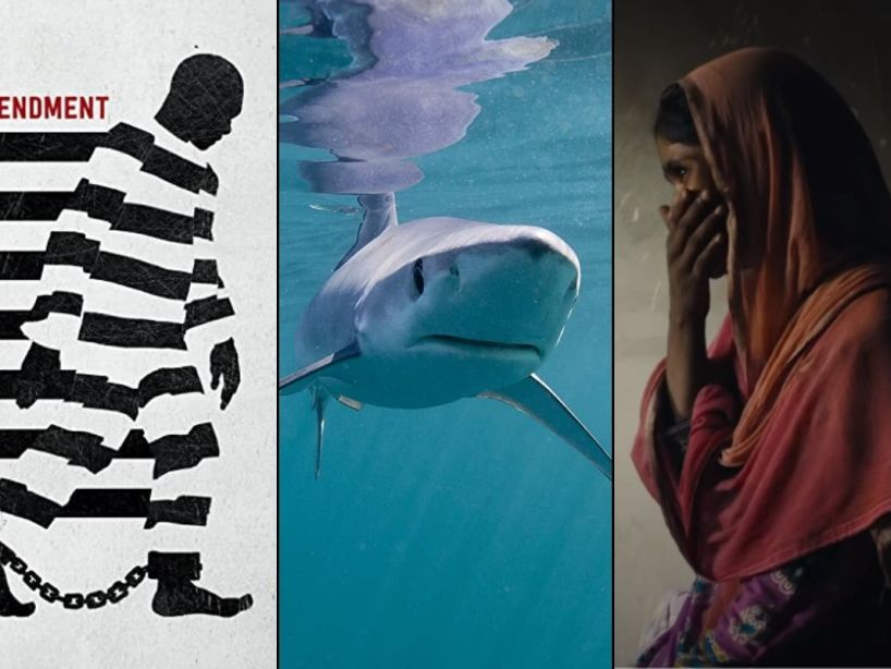 Our Planet-Explained- documentales-de-Netflix-23-de-abril-2020