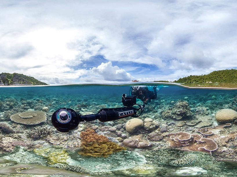 documentales-de-Netflix-Chasing Coral-23-de-abril-2020