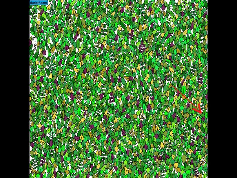 retos-mentales-cuarentena-29-de-abril-2020-verde