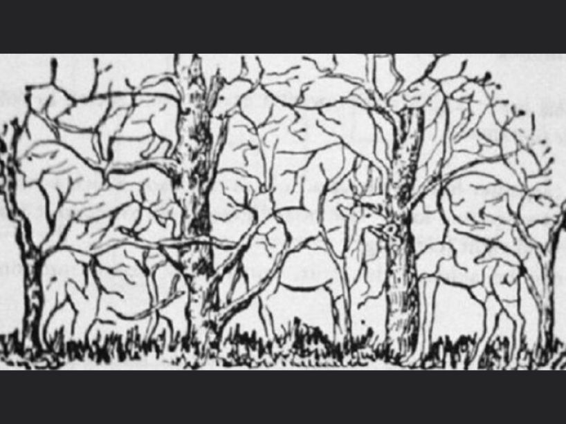 retos-mentales-cuarentena-29-de-abril-2020-arboles