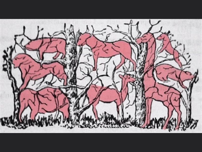 retos-mentales-cuarentena-29-de-abril-2020-arboles