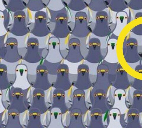 imagen-del-reto-viral-redes-sociales-30-de-abril-2020