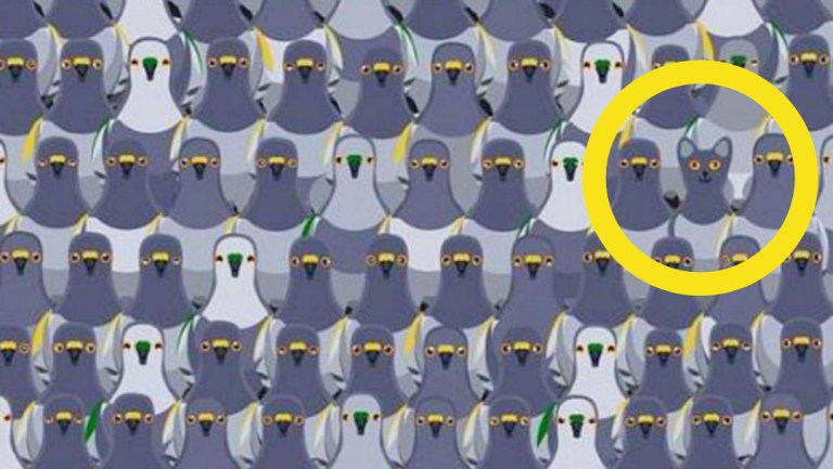 imagen-del-reto-viral-redes-sociales-30-de-abril-2020