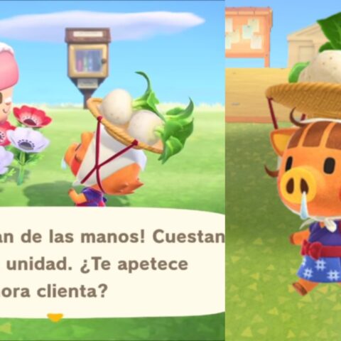 animal-crossing-new-horizons-nabos-calculadora-24-de-abril-2020