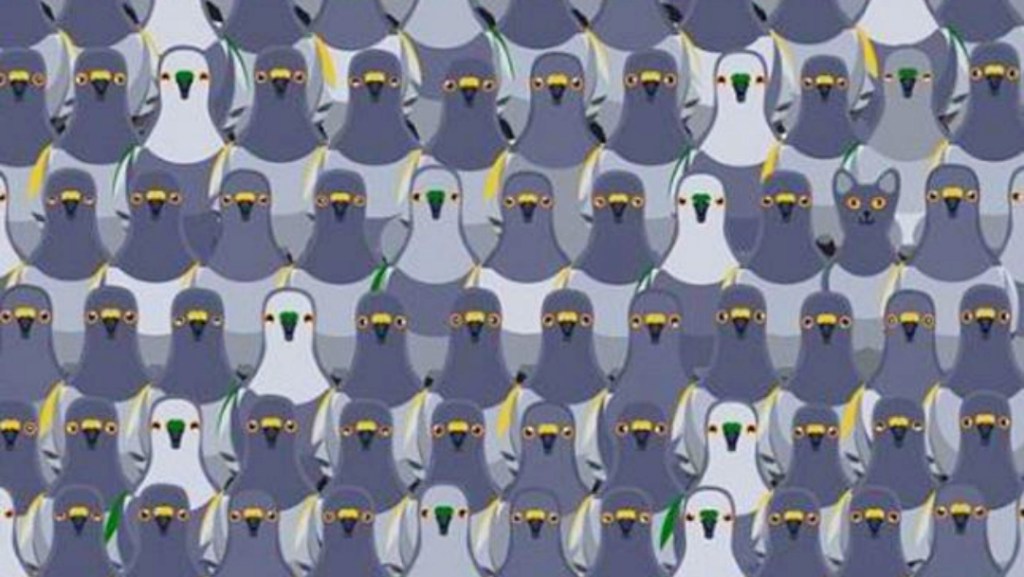 nuevo-reto-viral-puedes-encontrar-al-gato-en-menos-de-18-segundos-30-de-abril-2020