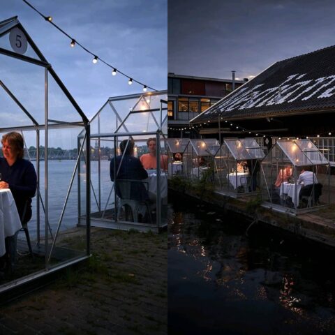 cabañas-de-cristal-7-de-mayo-2020