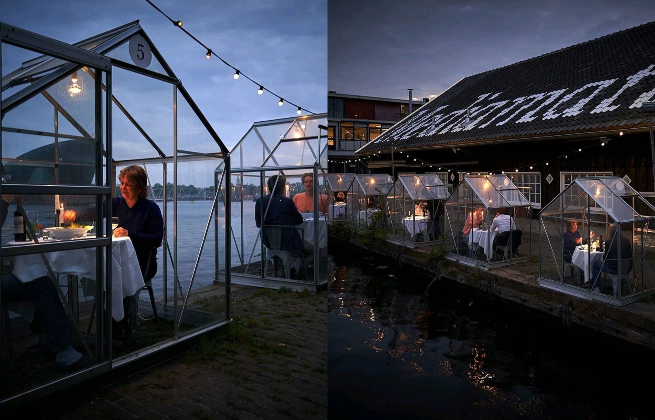 cabañas-de-cristal-7-de-mayo-2020