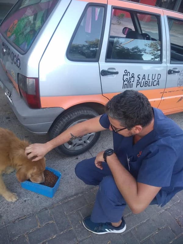 Gente-de-Argentina-cuida-alimenta-perritos-abandonados-por-la-cuarentena 08/05/20
