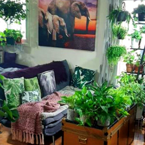Jungle-apartment-Si-amas-las-plantas-de-interiores-tienes-que-conocer-esta-nueva-tendencia 01/06/20
