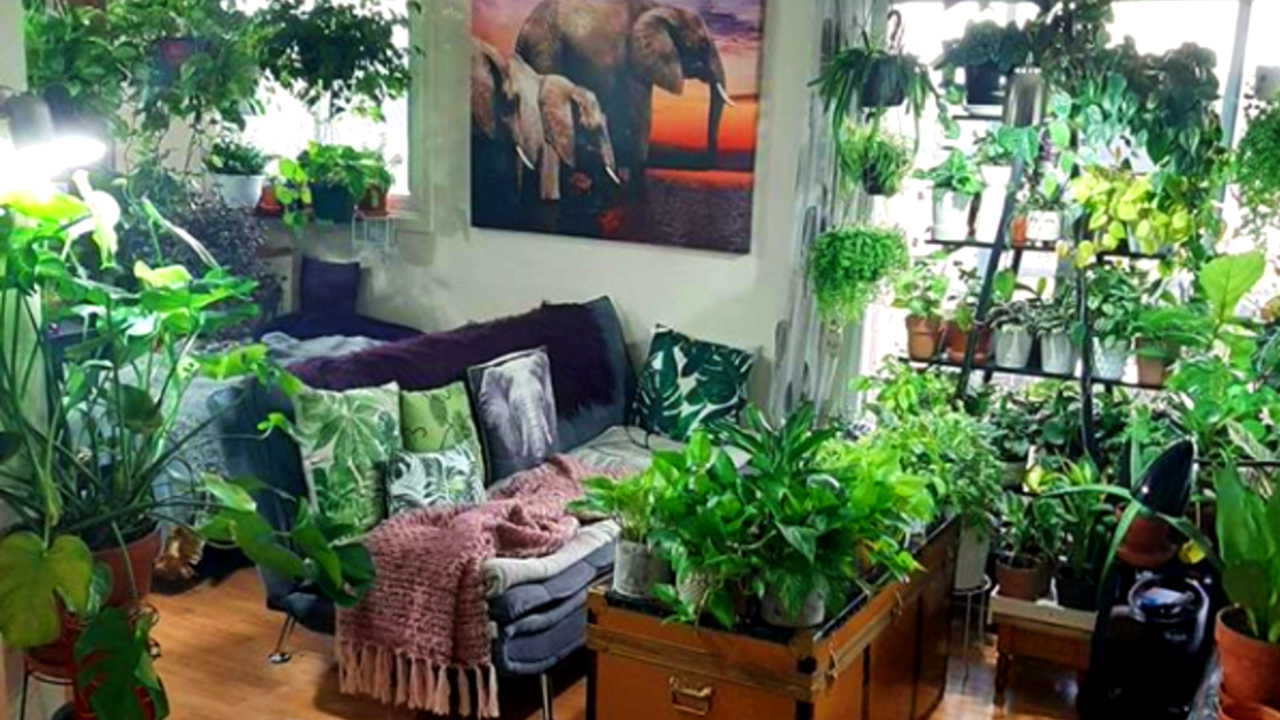 Jungle-apartment-Si-amas-las-plantas-de-interiores-tienes-que-conocer-esta-nueva-tendencia 01/06/20