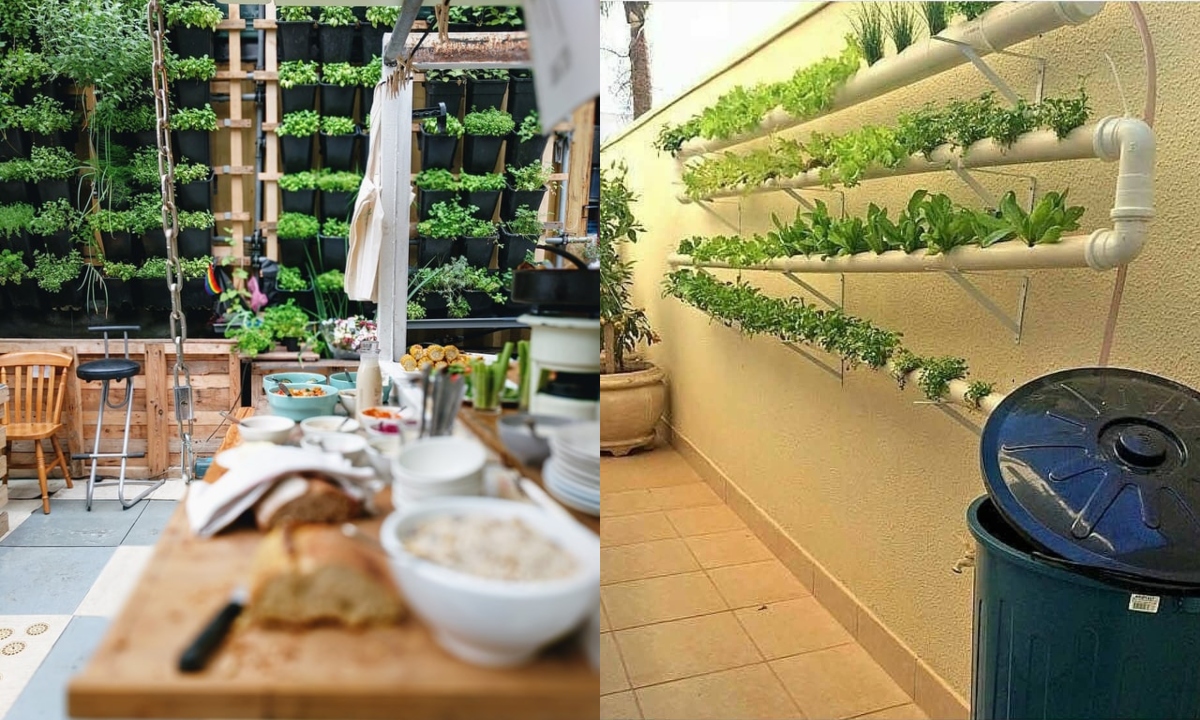 hidroponia-que-es-19-de-junio-2020