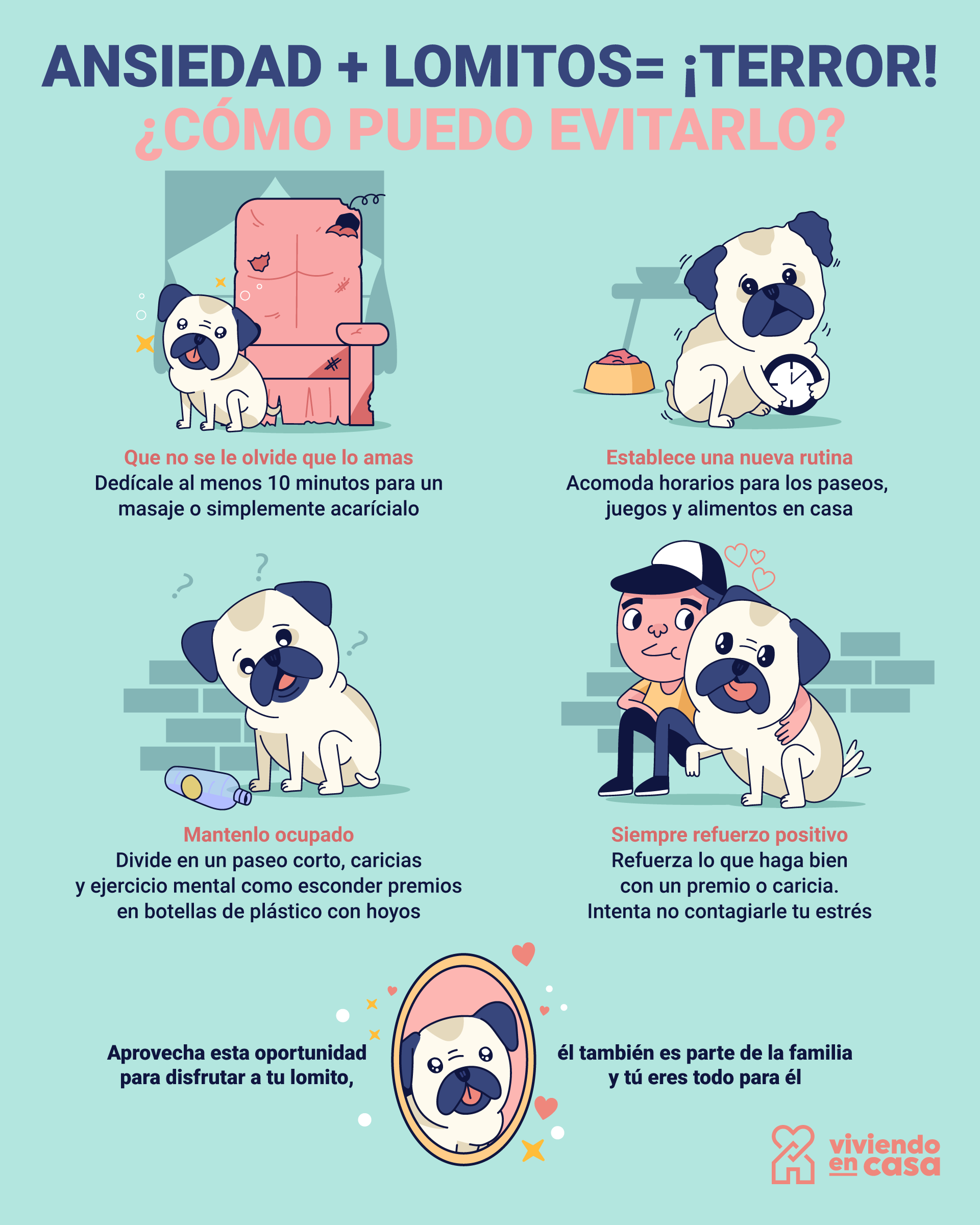 ¿Cómo ayudar si tus perros sufren de ansiedad?