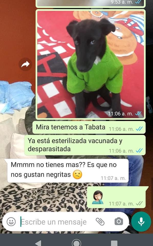 Tabata-perrita-negrita-6-de-julio-2020