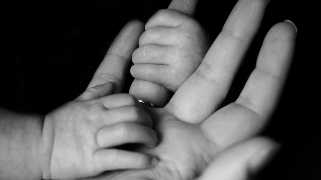 El-instinto-maternal-no-existe-y-el-mito-solo-complica-las-cosas 02/07/20