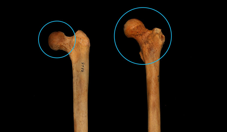 Las-sentadillas-correctas_-no-existen-cada-quien-debe-hacerlas-diferentes 23/07/20