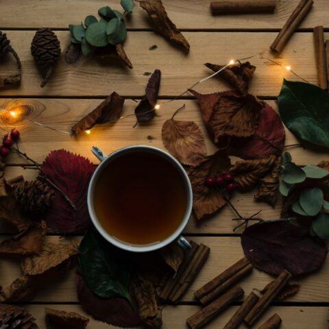 agua-de-canela-grasa-17-julio-2020