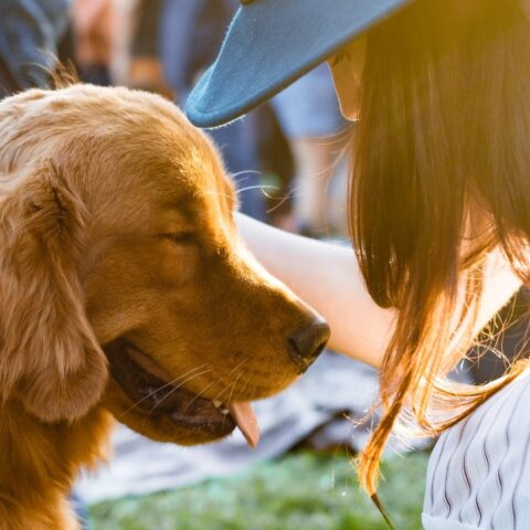 hablas-con-tu-perro-inteligente-6-de-julio-2020