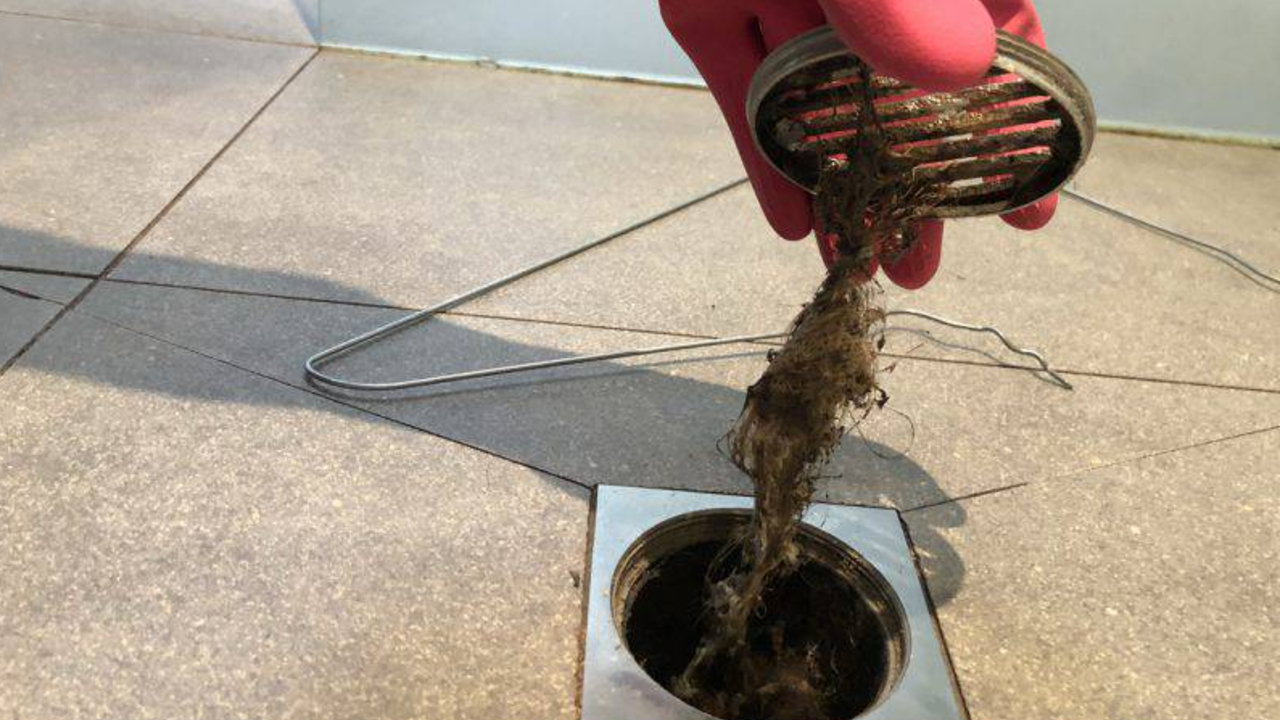 Deshazte del terrible olor a coladera en casa con estos remedios 12/08/20