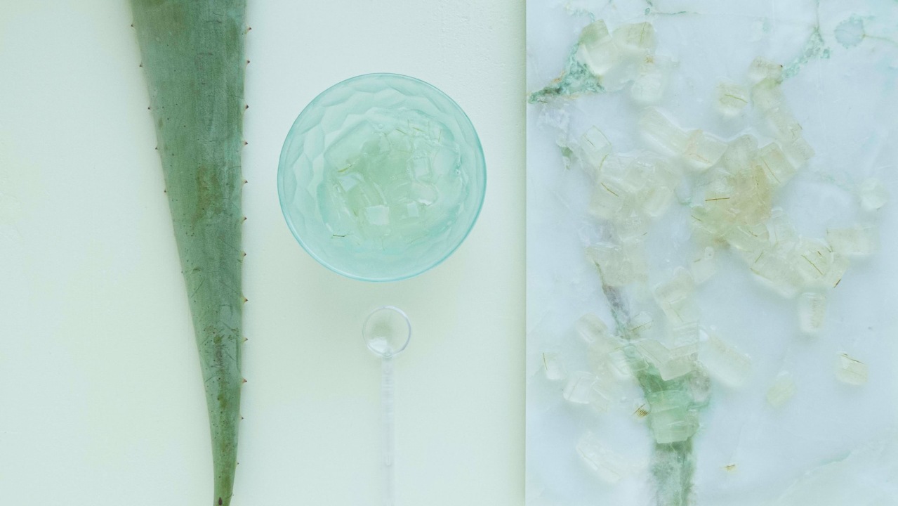 como usar el aloe vera para el cabello y cuales son sus beneficios