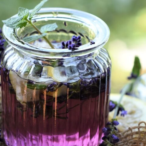 agua de lavanda para aromatizar tu casa te contamos como hacerla