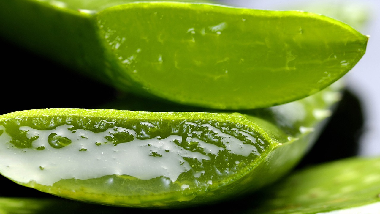 Enjuage bucal de aloe vera, el mejor remedio casero para acabar con las aftas