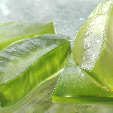 Enjuage bucal de aloe vera, el mejor remedio casero para acabar con las aftas