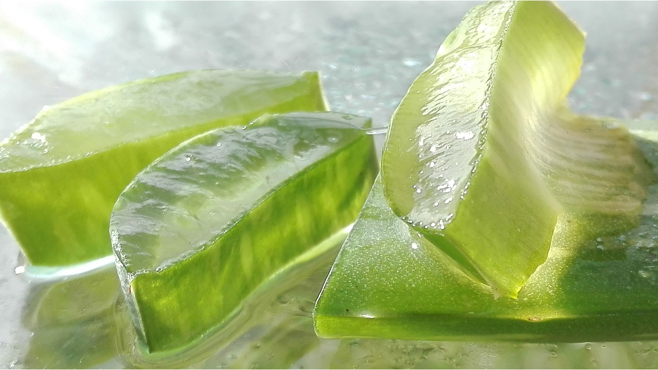 Enjuage bucal de aloe vera, el mejor remedio casero para acabar con las aftas