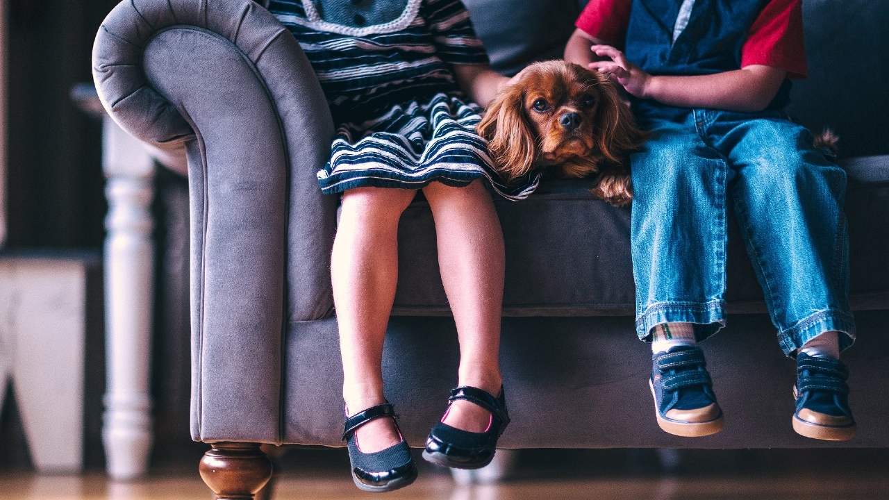 Mascotas mejoran el sistema inmunolo?gico y protegen la salud mental de tu familia