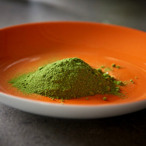 Moringa: Conoce todos los beneficios de este 'superfood'