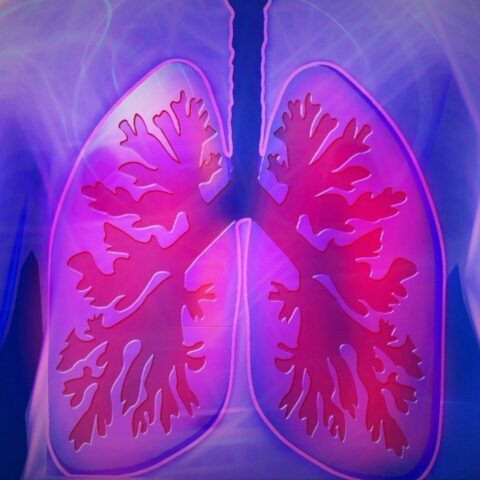 como-fortalecer-los-pulmones