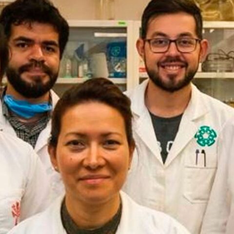 ipn-logra-eliminar--virus-papiloma-humano