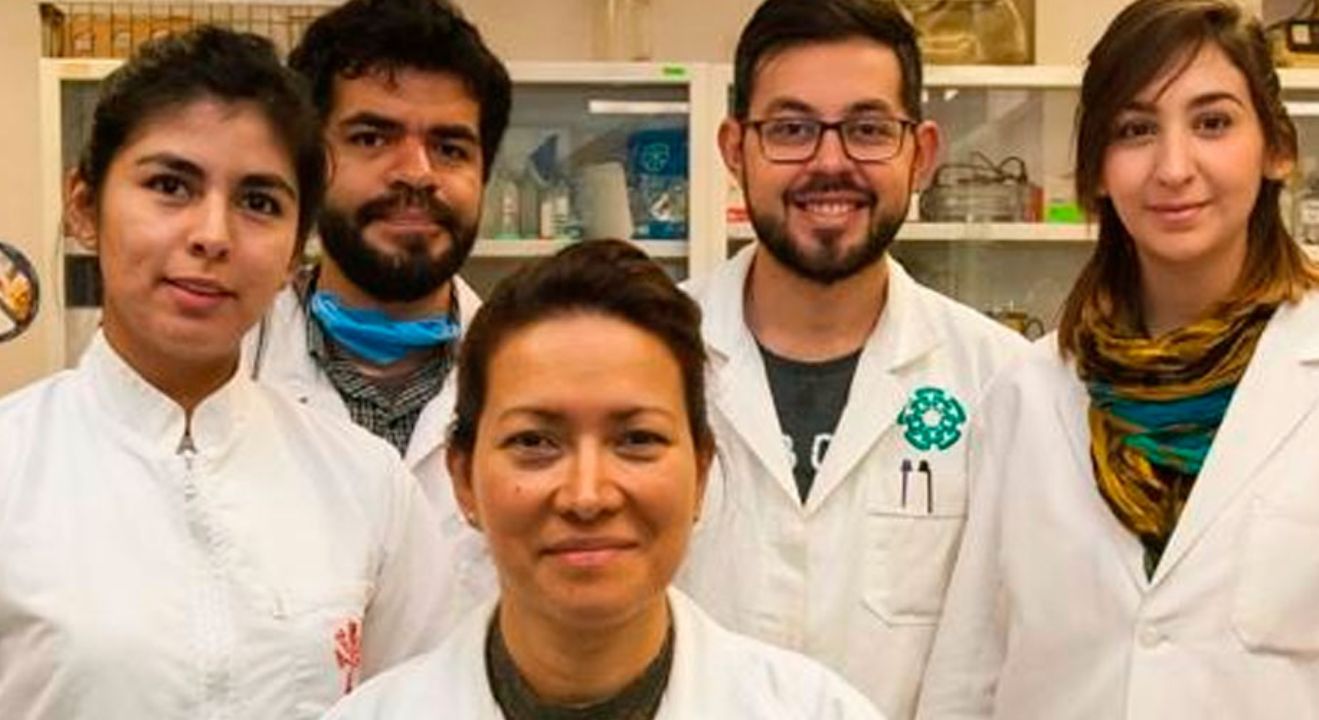 ipn-logra-eliminar--virus-papiloma-humano