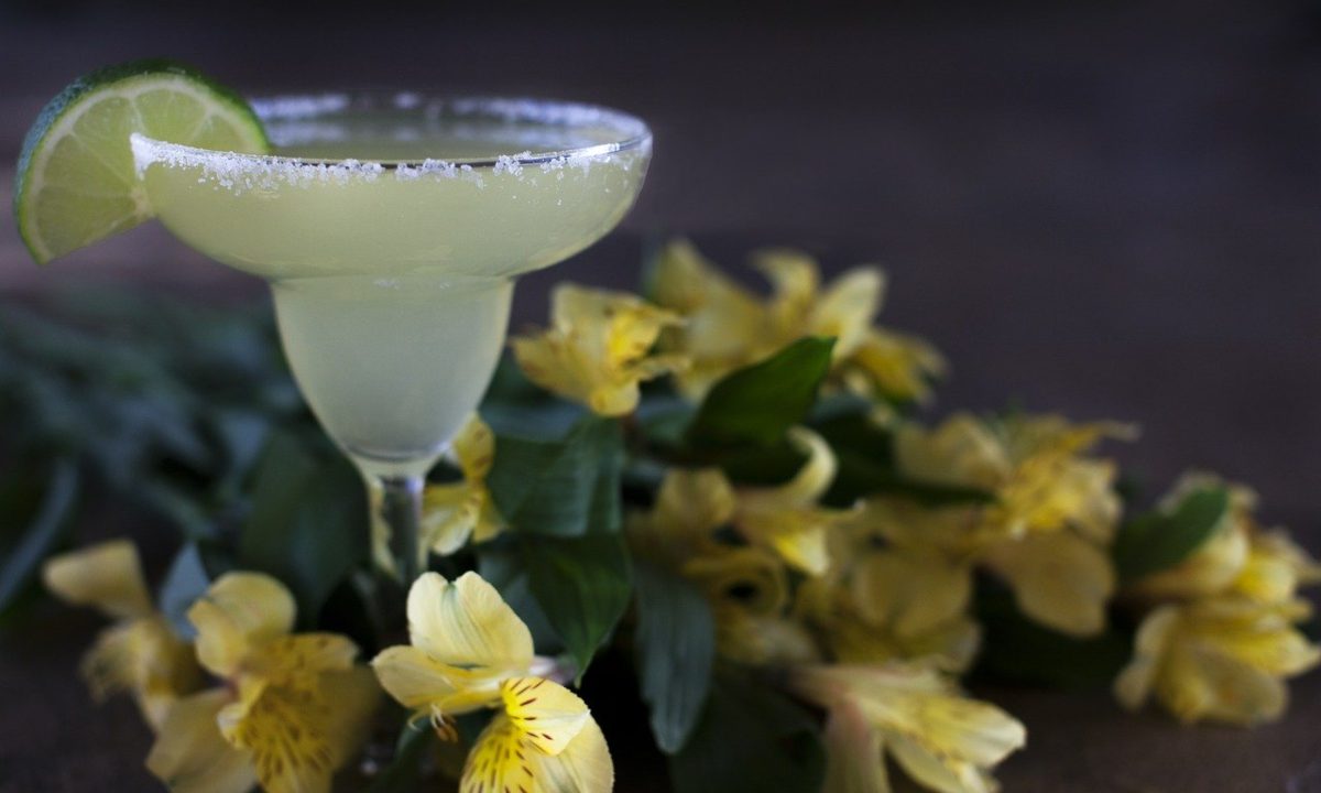 margarita-de-pepino-tequila-receta