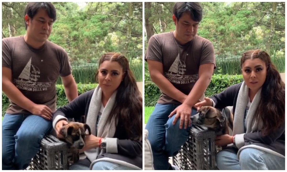 Yadhira Carrillo pone en adopcion mas de 300 perros