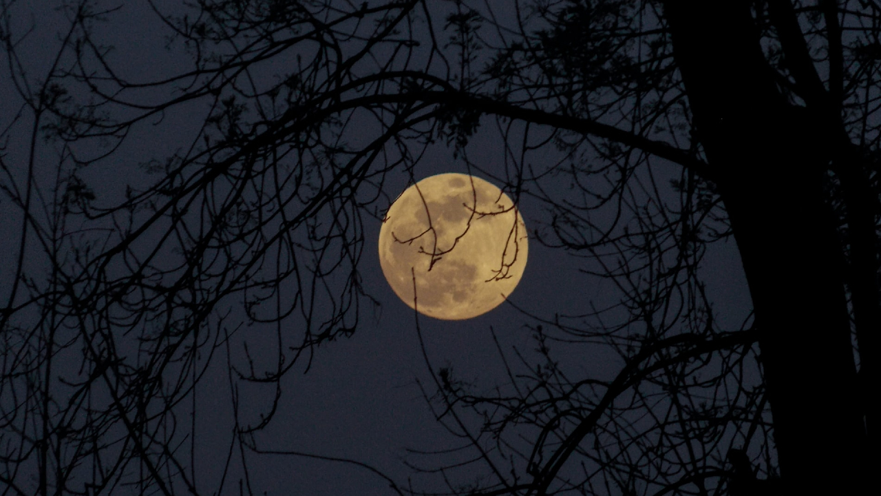 Luna llena en Aries: Todo lo que trae para ti y tus relaciones