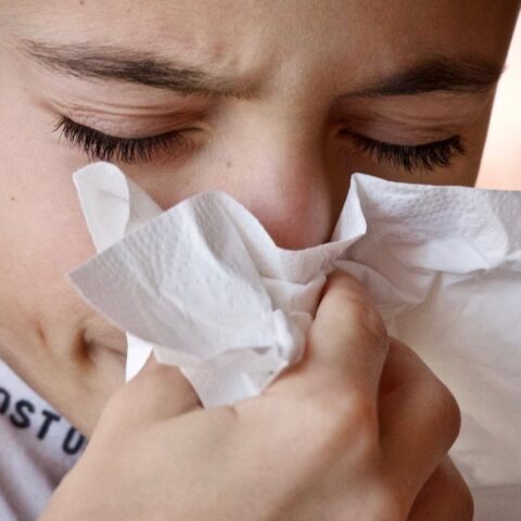 como distinguir si tienes alergia influenza o covid-19 estas son las diferencias