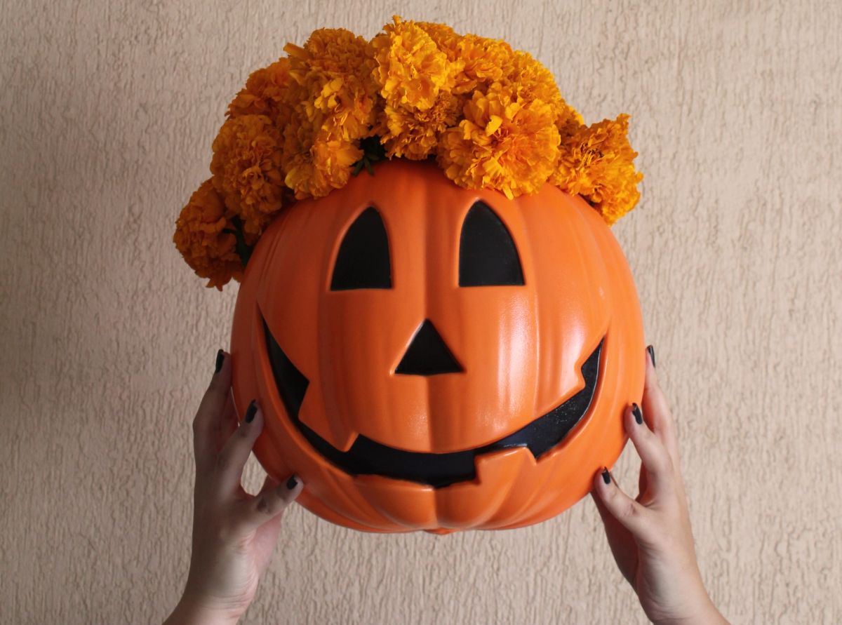 como cuidar tu flor de cempasúchil en maceta