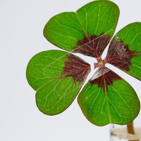 martes 13 significado y como alejar la mala suerte