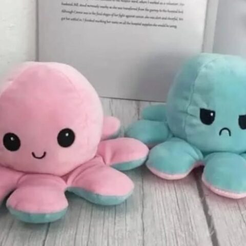 para que sirven los pulpos reversibles el peluche viral de tik tok