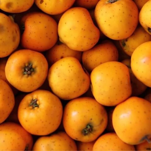 beneficios del tejocote para la salud