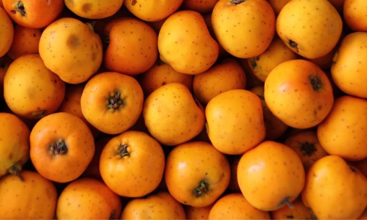 beneficios del tejocote para la salud