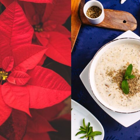 como hacer crema de nochebuena