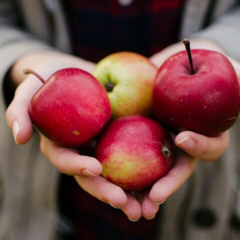 comer una manzana al dia evitar menopausia sintomas