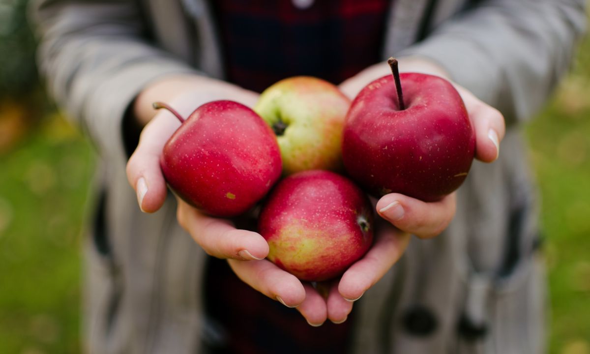 comer una manzana al dia evitar menopausia sintomas