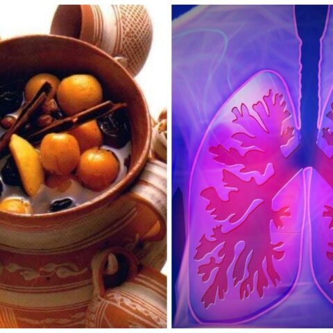 ponche de frutas navideño beneficios pulmones
