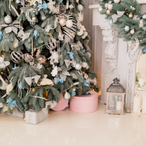 por que rentar arbol de navidad es mas ecologico