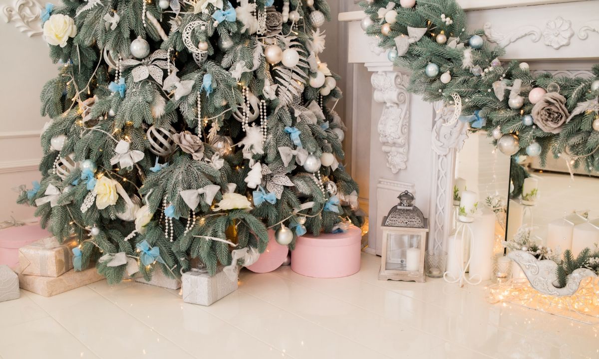 por que rentar arbol de navidad es mas ecologico