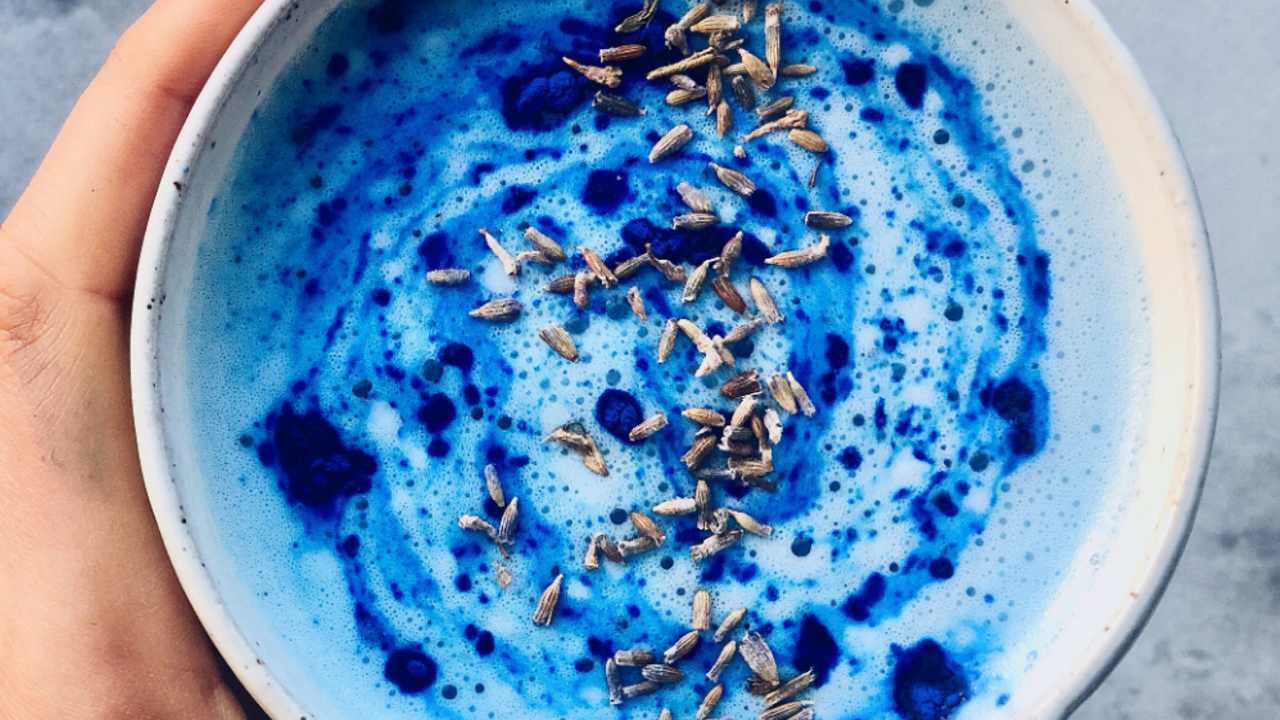 Blue Majik infusión caliente